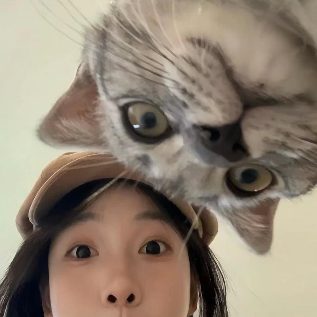 胡莹莹