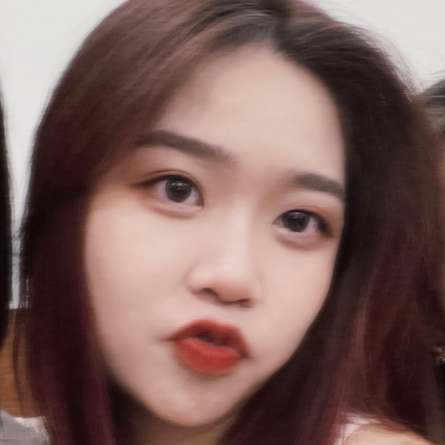 不吃香菜的温77