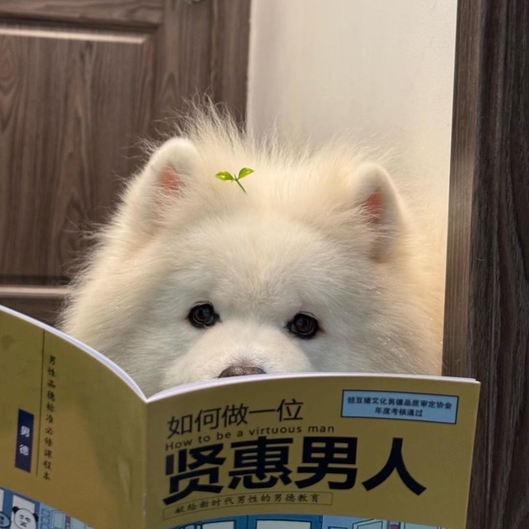 孔亦己