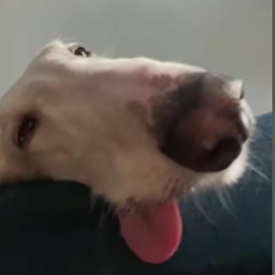 张德美