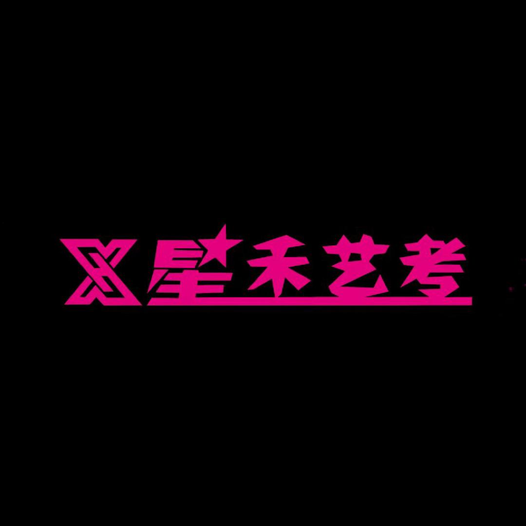 开封星禾艺考