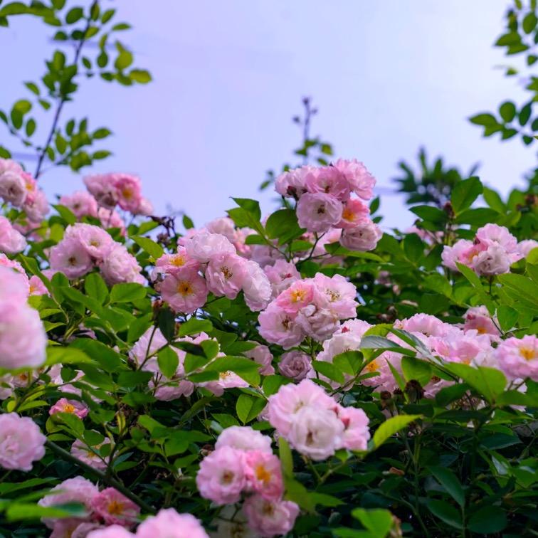 农资好物严选店