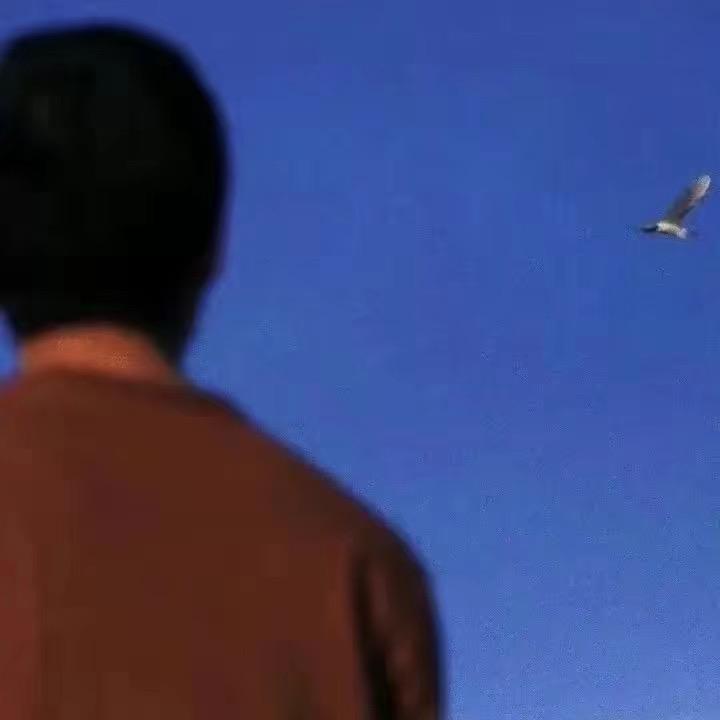 Mr.头低低头像