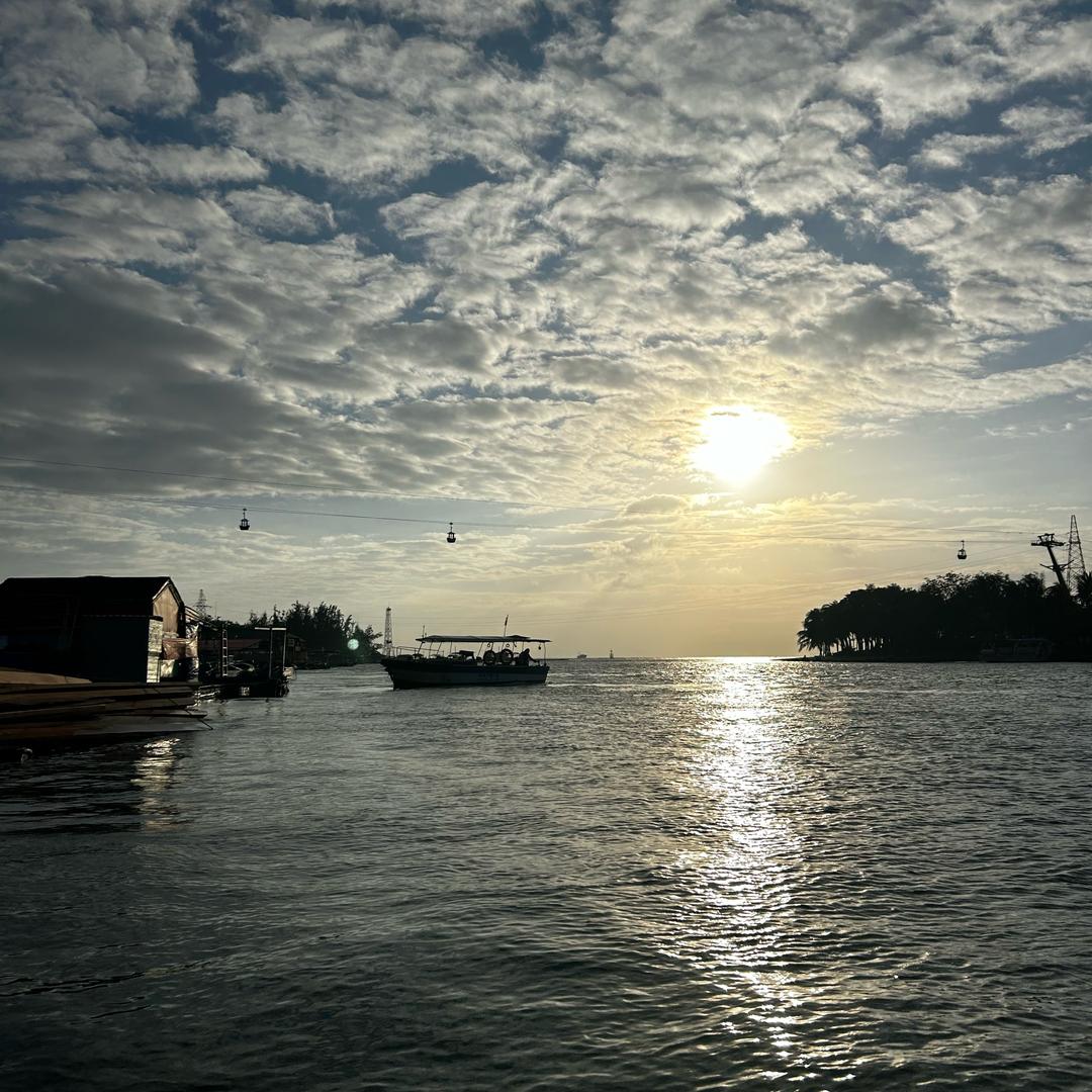 骗你的其实我是爱你的