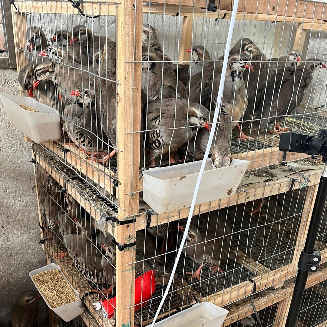 三总养殖合作社