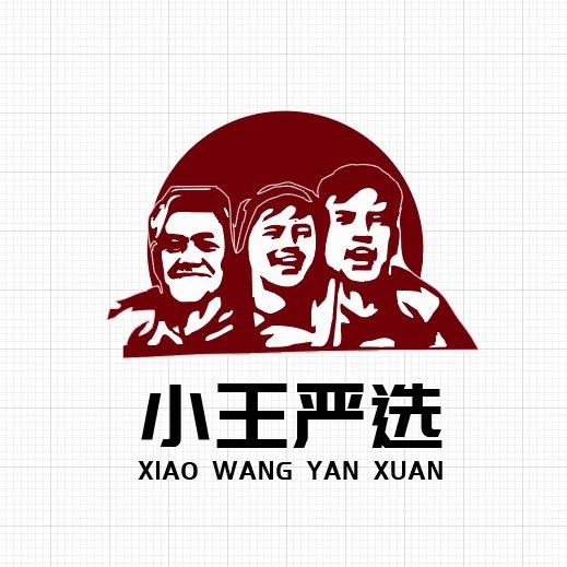 望城小王数码