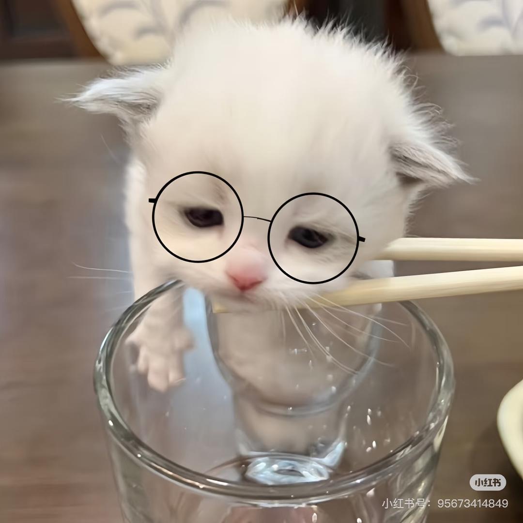 不给我放假引爆地球