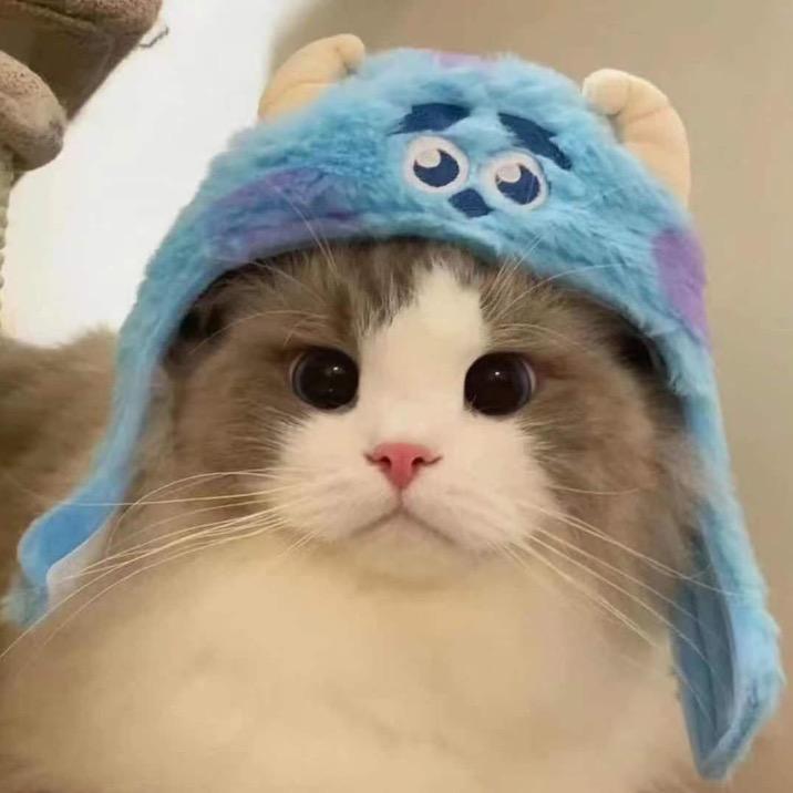 冰红猹