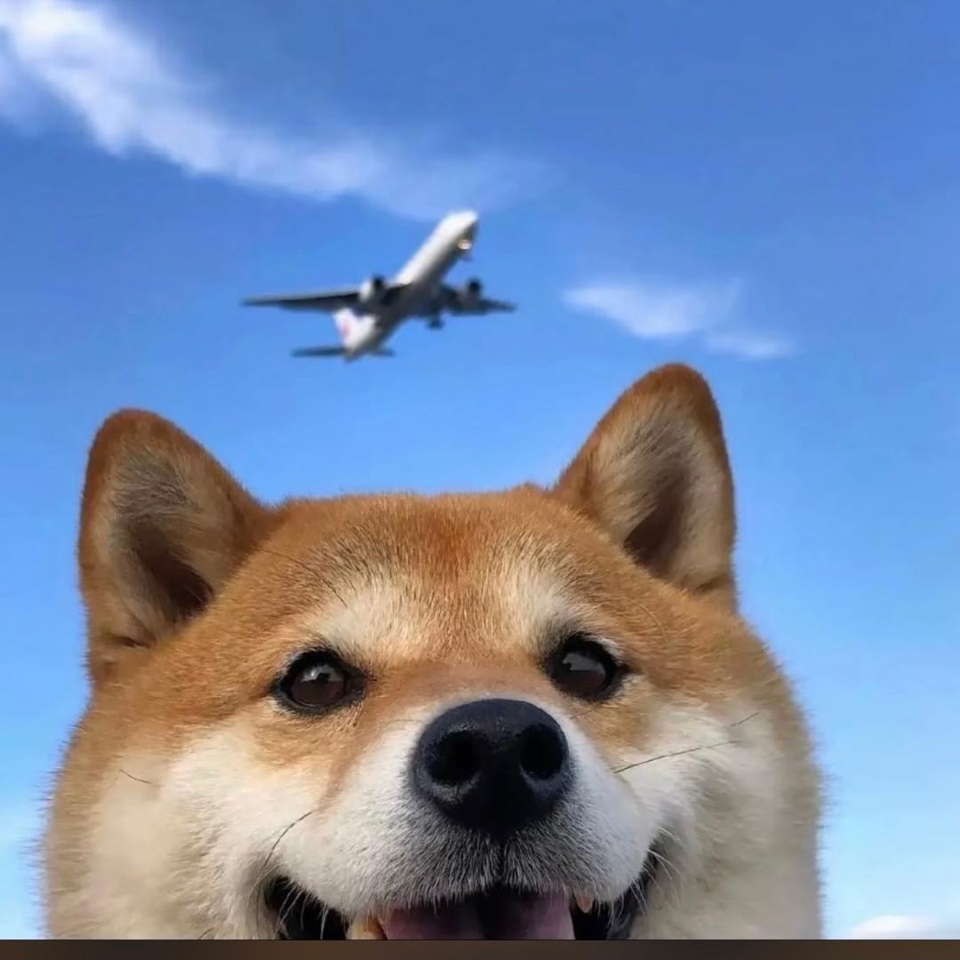 头疼要长脑子了🤡