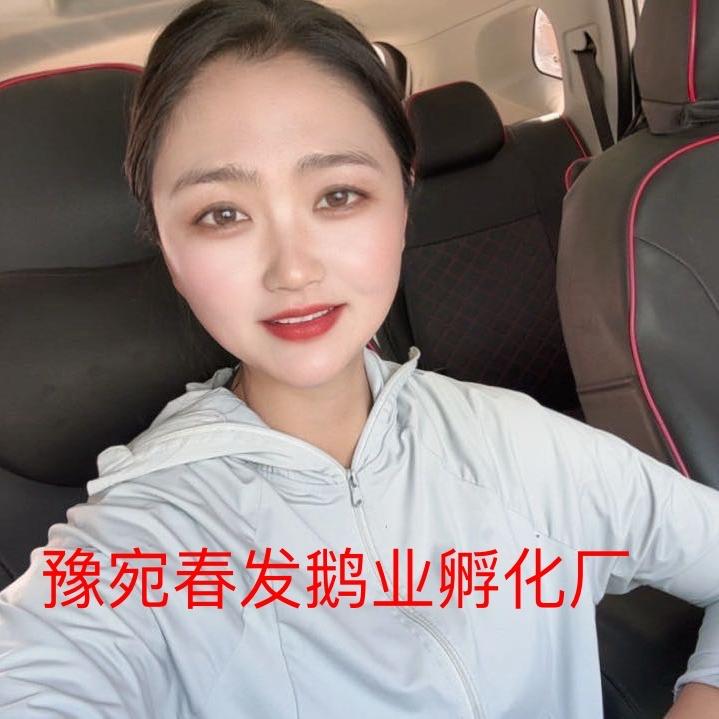豫宛春发鹅业孵化厂
