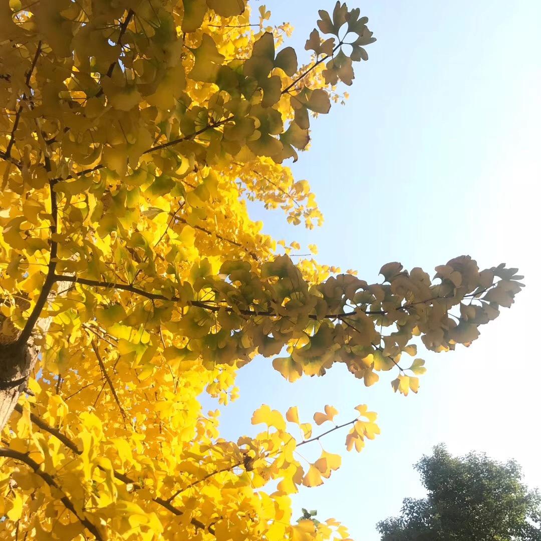 琪琪解忧文案