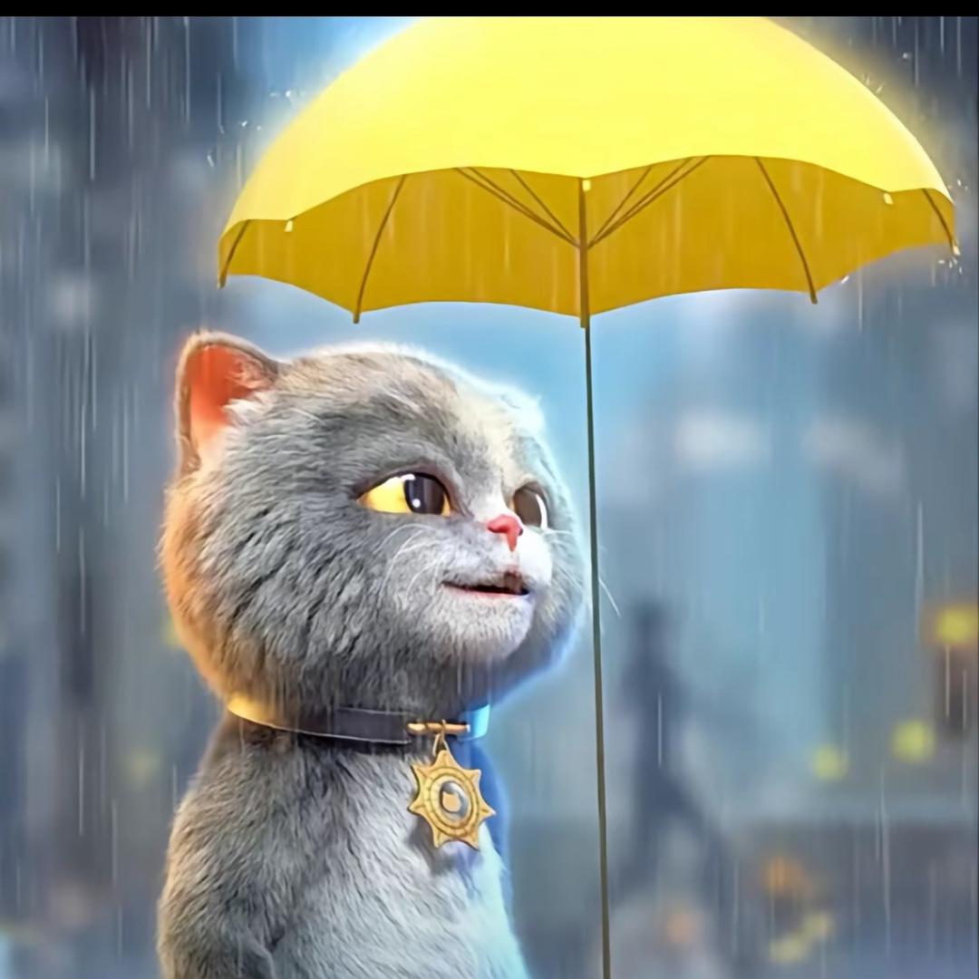 广州市小马汽配