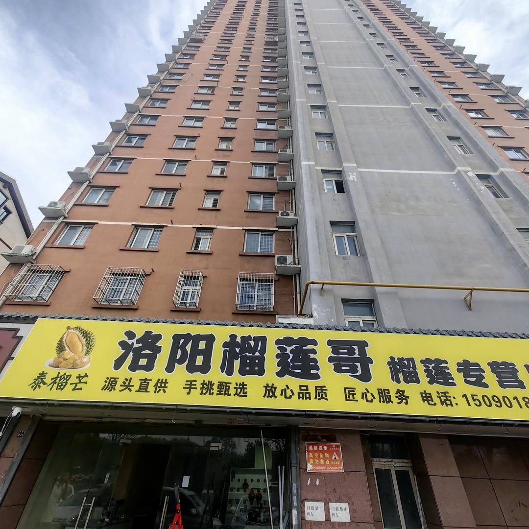洛阳榴莲哥次日达