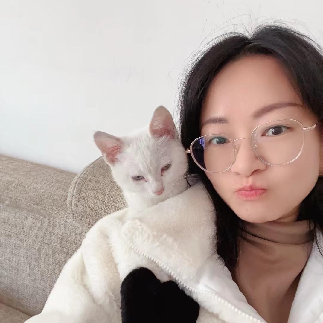 绵绵小猫咪