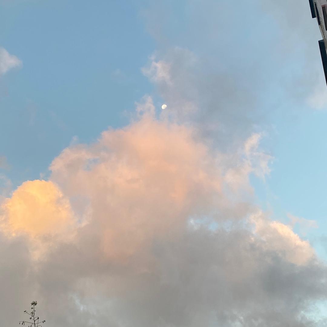 潮汕人在深圳市