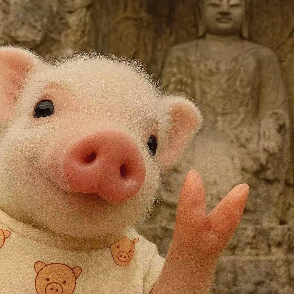 留学小助手（全球博士申请）