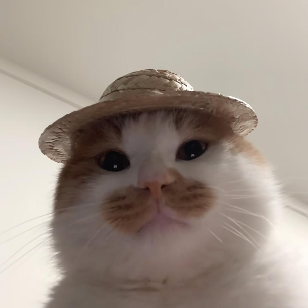 快快快