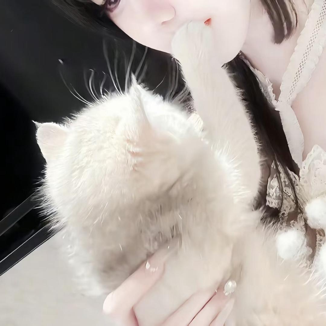 一直优雅（三角洲行动）