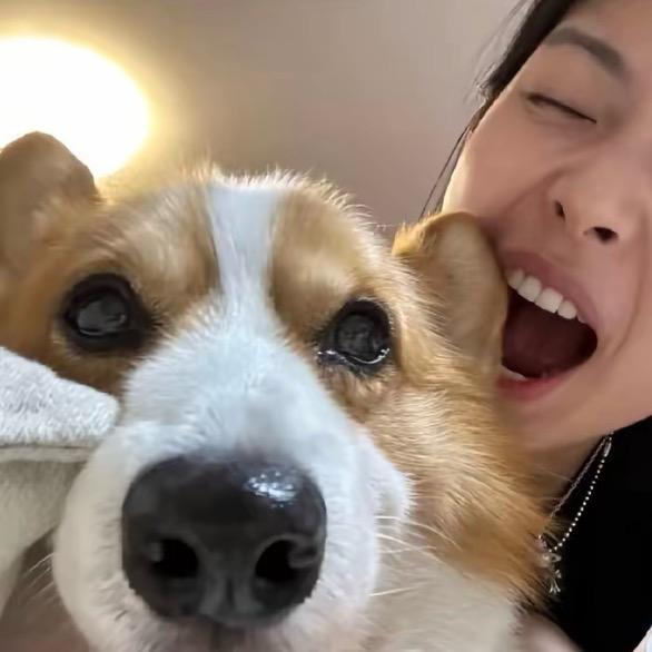 你居然真带我撞树