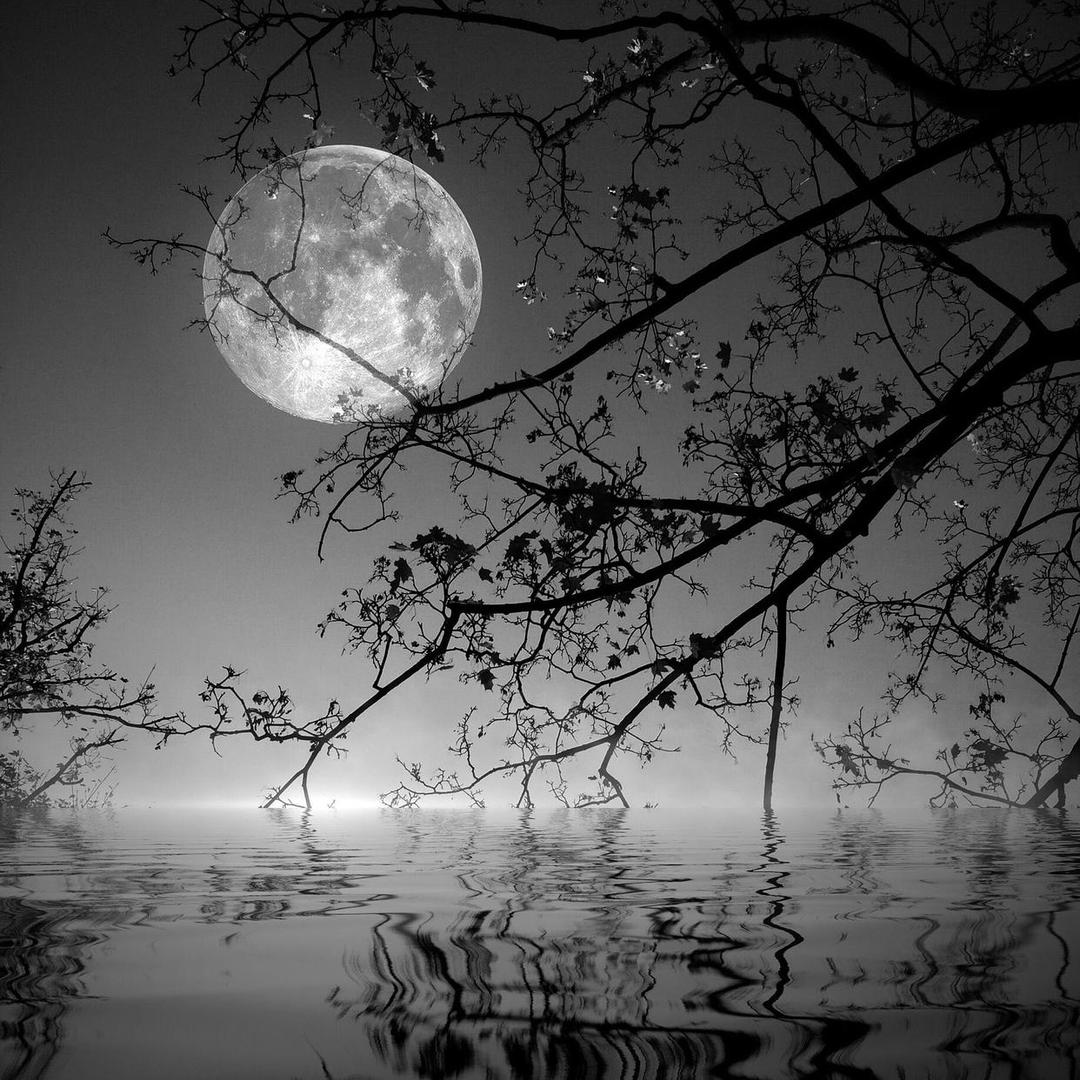 月光下，小溪潺潺