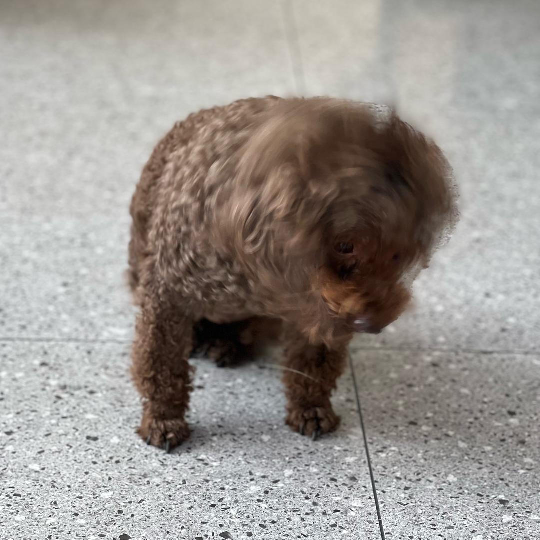 隐姓埋名地里热吧