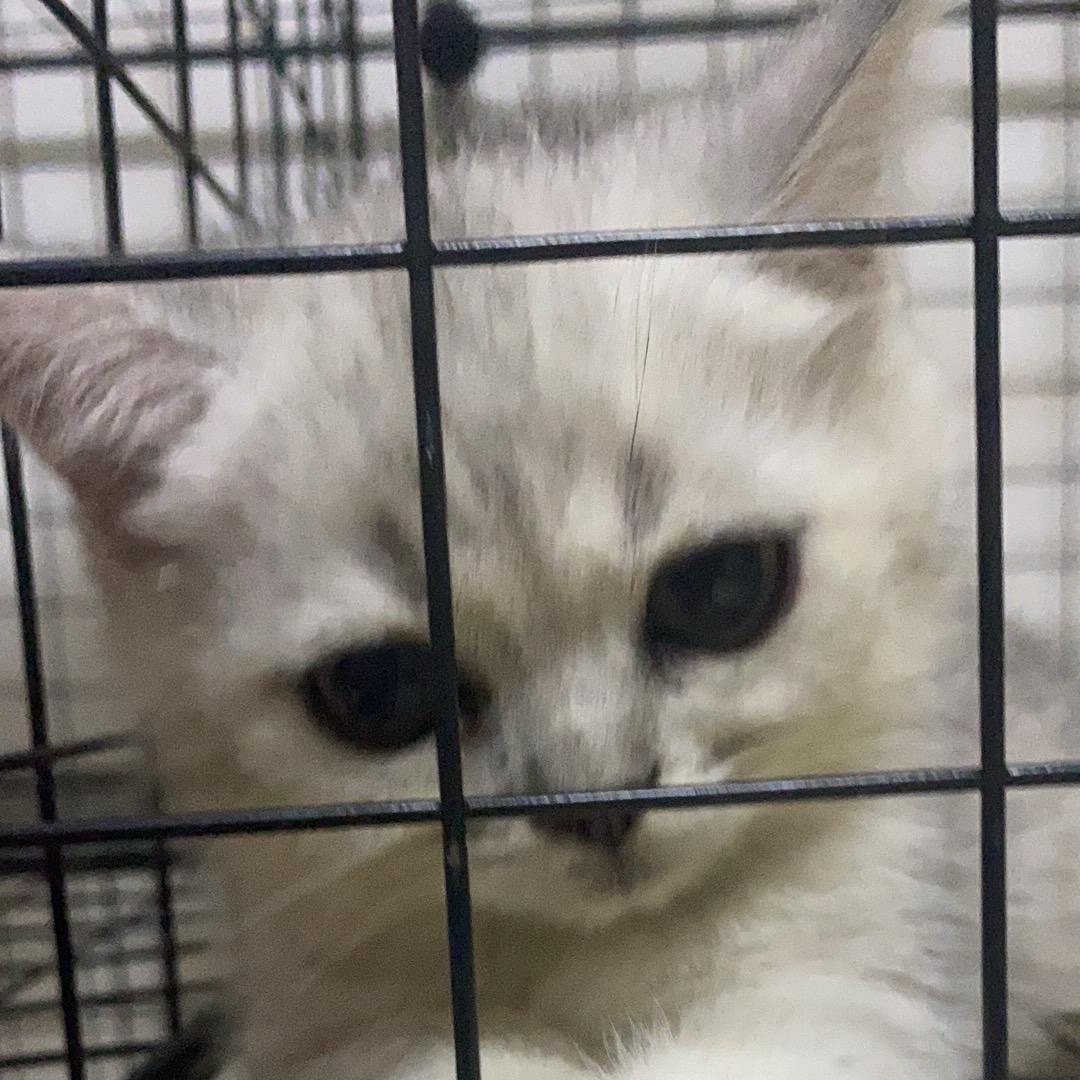 值买杂货铺