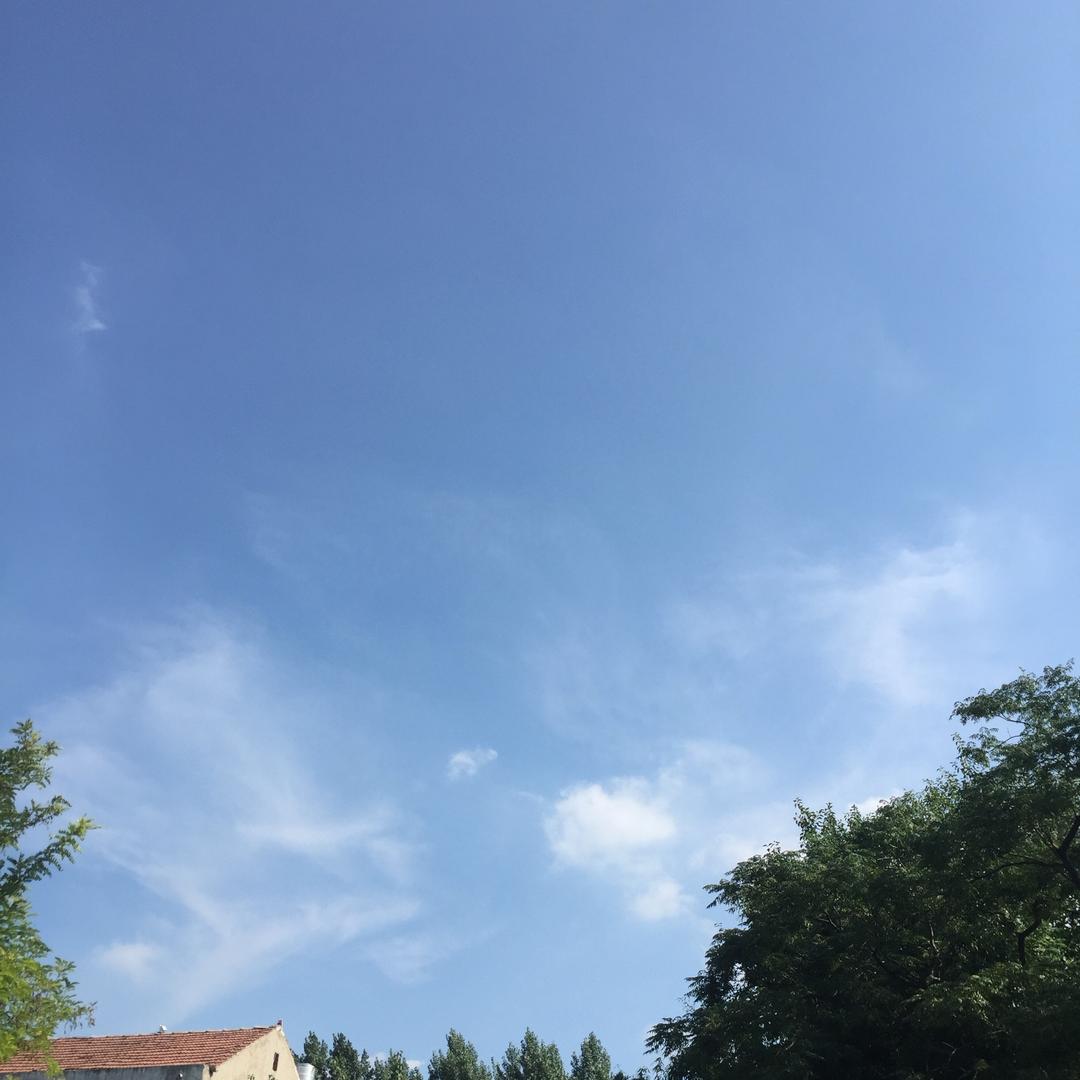 文博