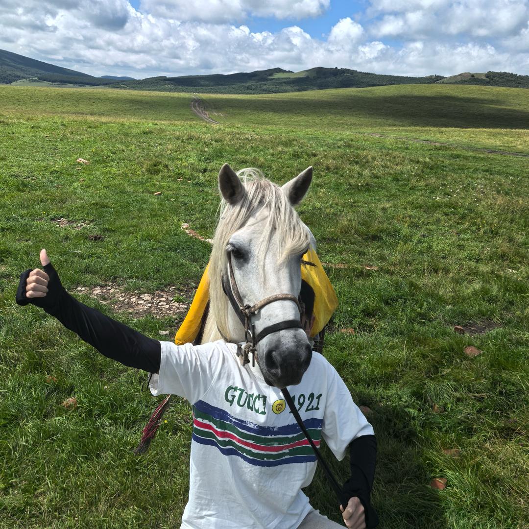 🌈乘风破浪