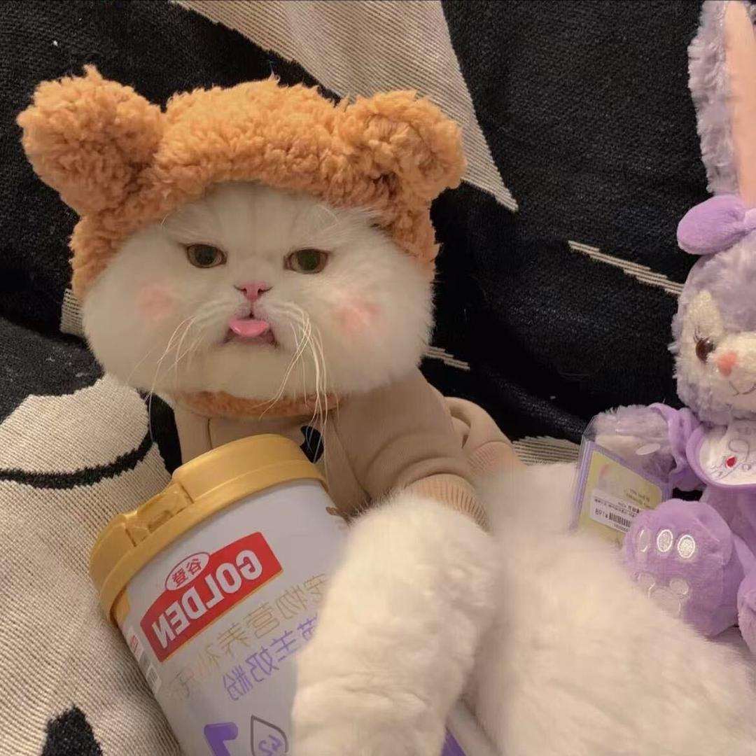 泉州龙跃传媒-薯条🍟