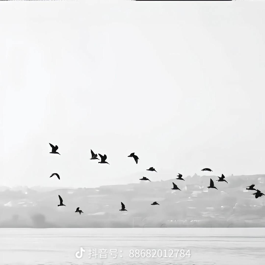 元气植生活馆服务号