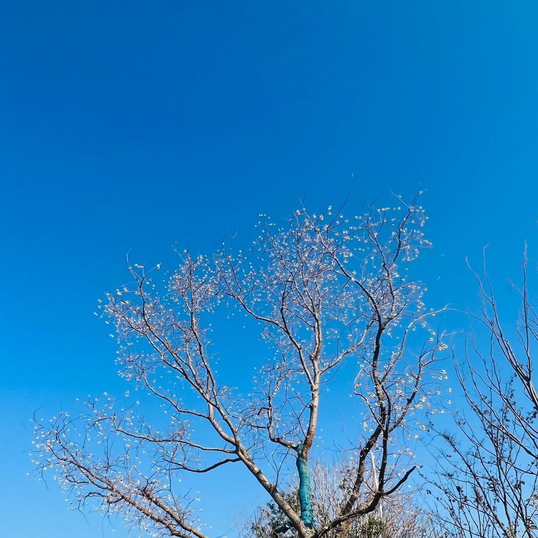 起丨风了