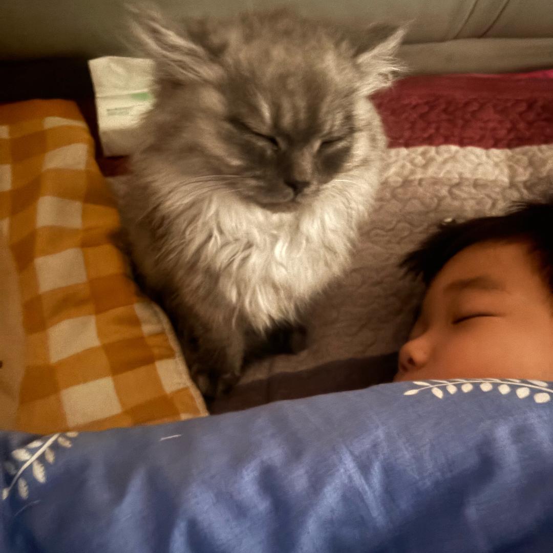 晨晨妈妈