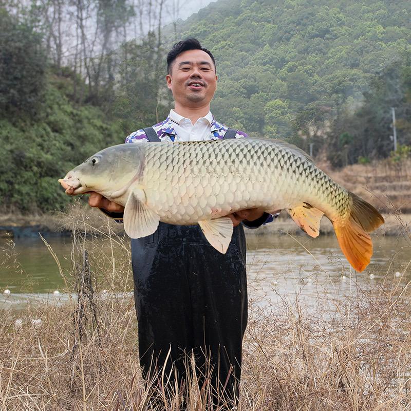 水中皇安全增氧机工厂店