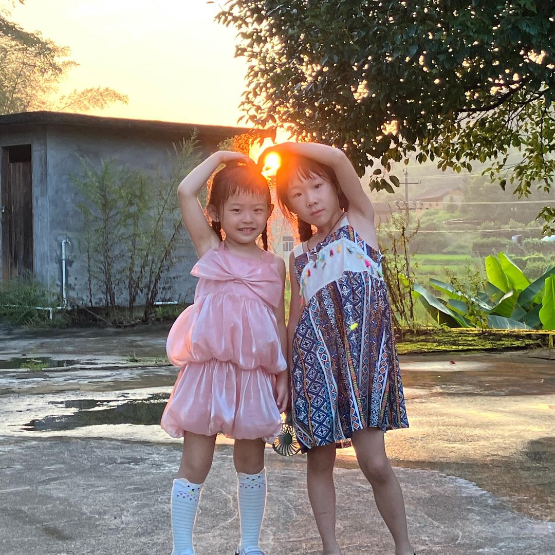 不加肉的肉丸子