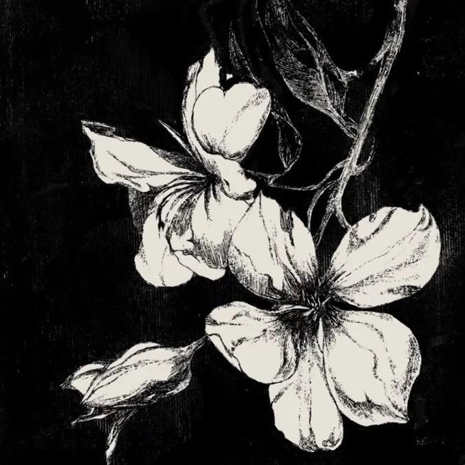 梦总该有醒的时候