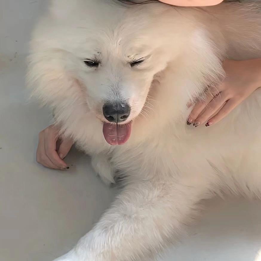 哆啦是A梦.