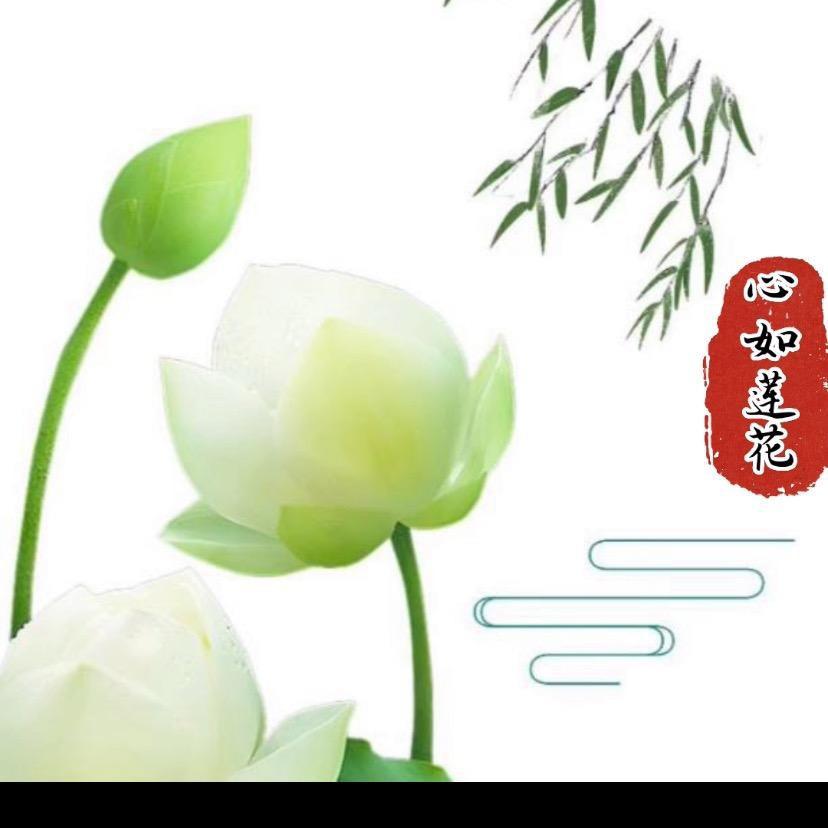 心如莲花