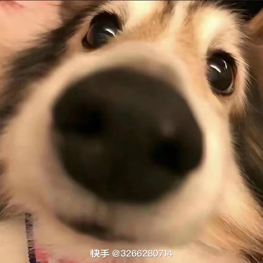什么缘💒