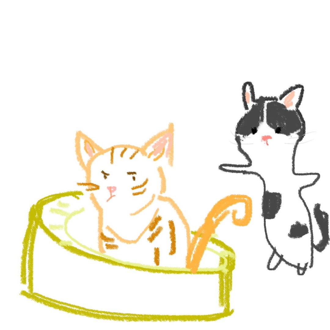 鸡蛋会蹦迪