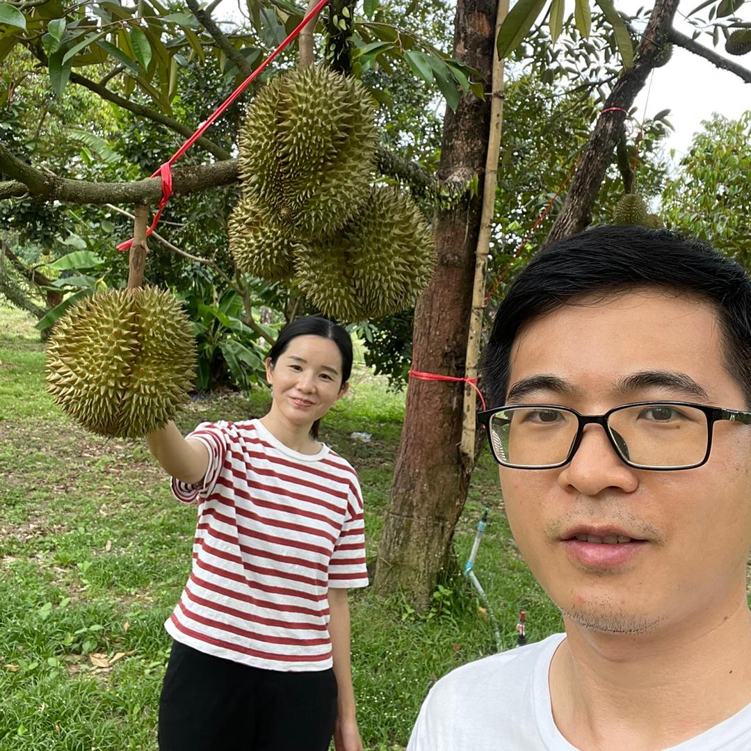 种榴莲的荣哥