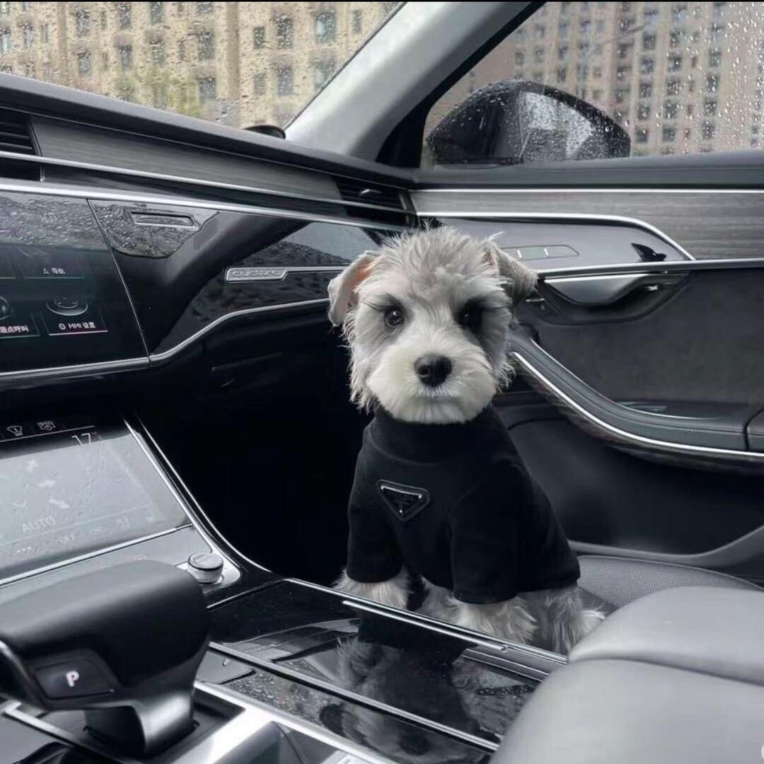 锦程名车•陈晗