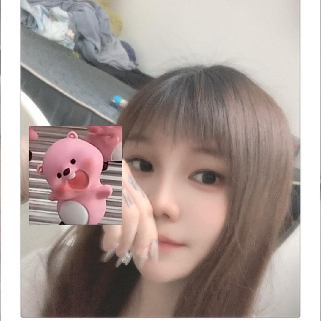 微风吹散落叶🍃