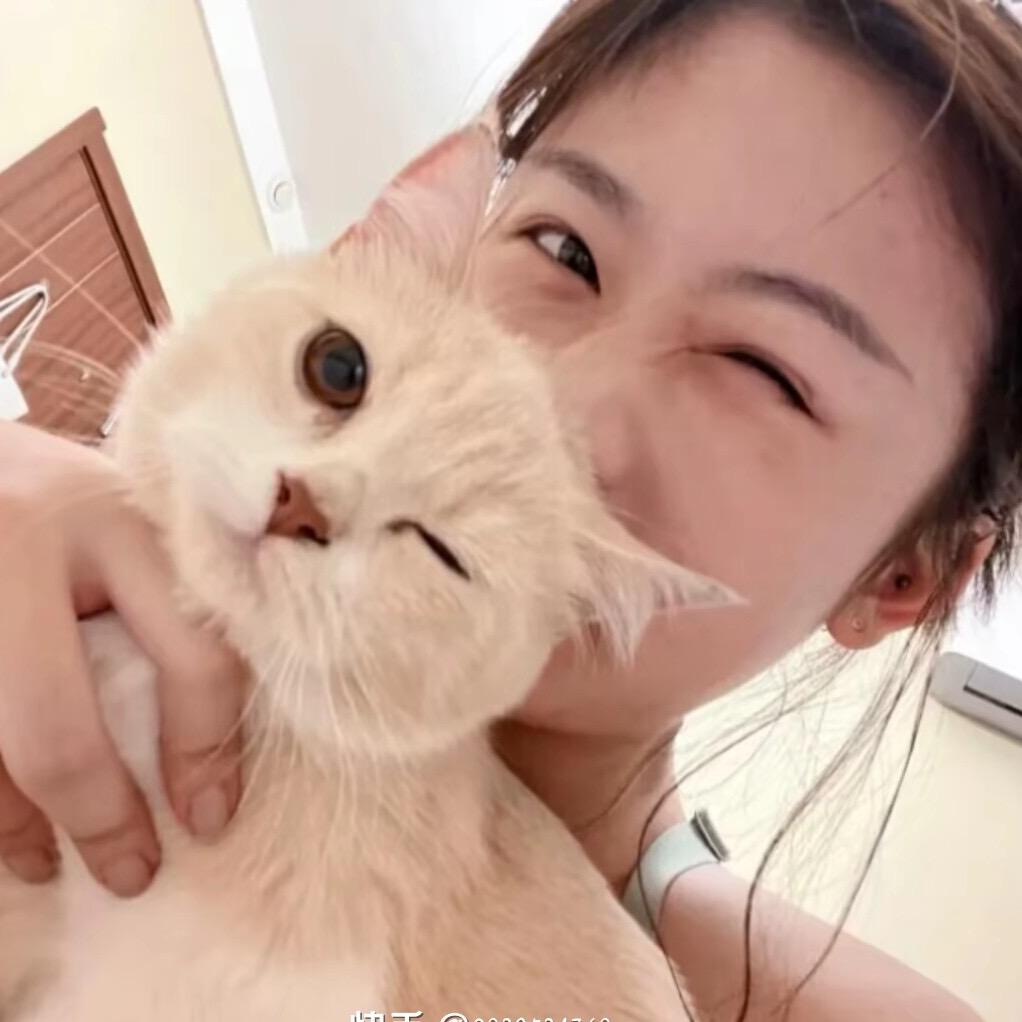 羊村你美姐