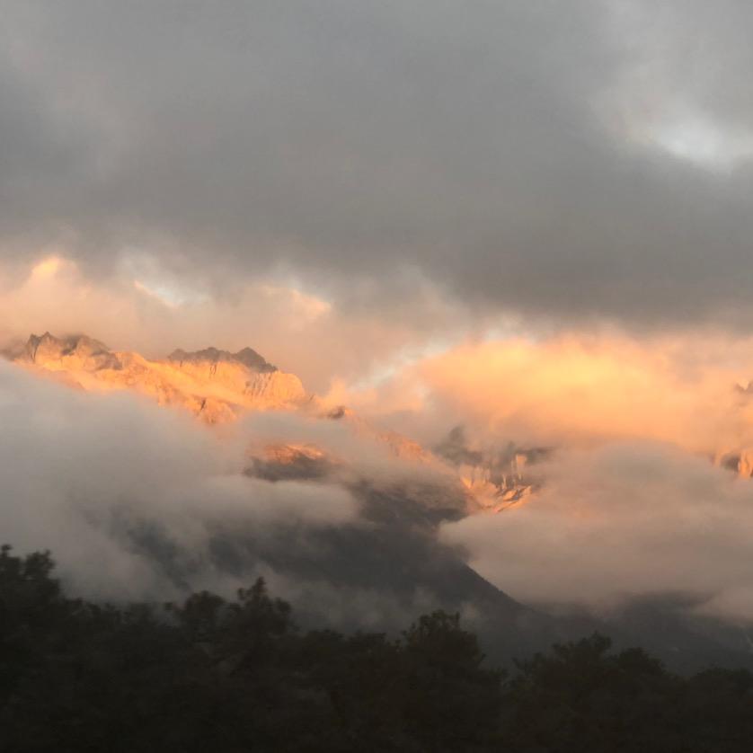 💜夏天里的一缕清风📷