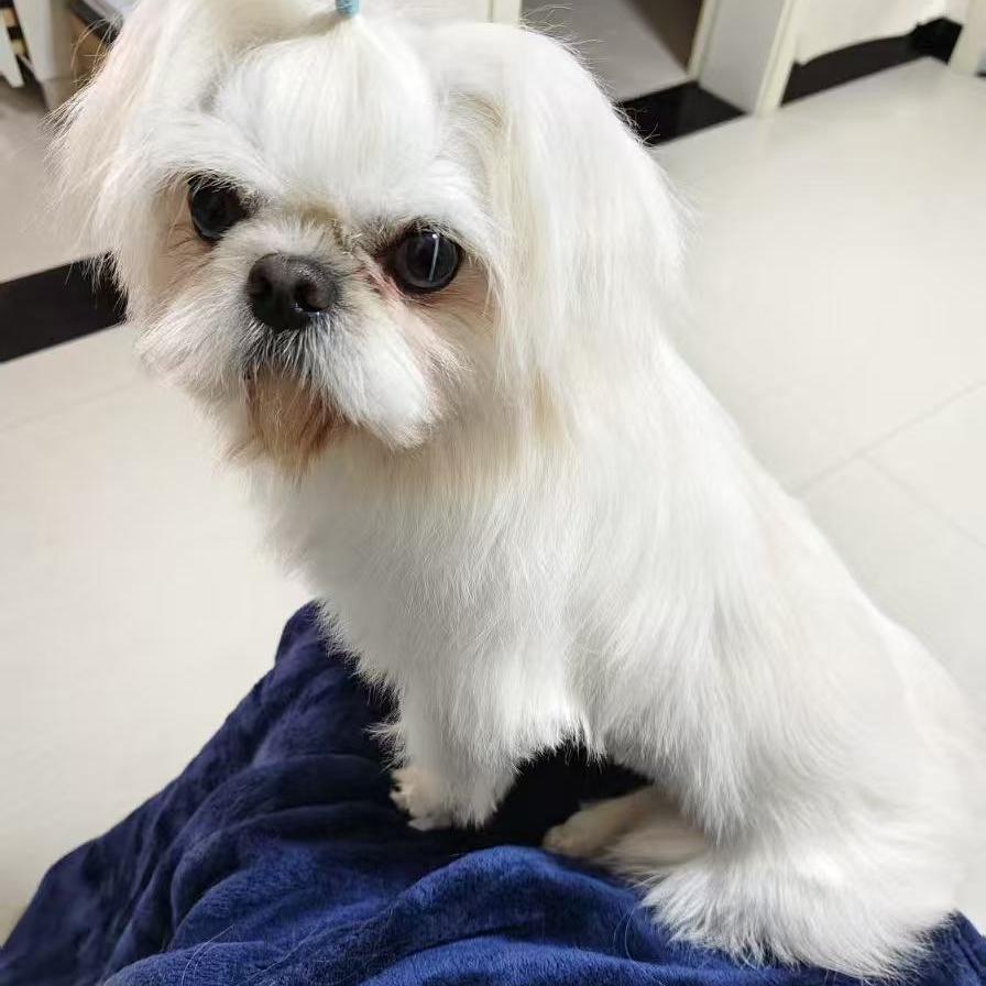 淮南蔡生二手手机收售