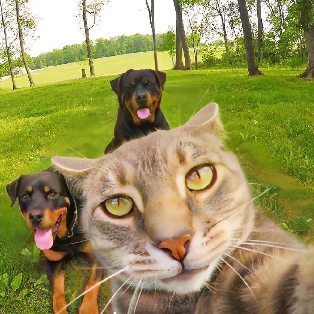 🔱          暖人心。