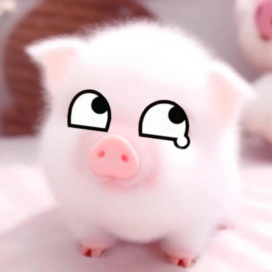 ^许愿萱^ゞ