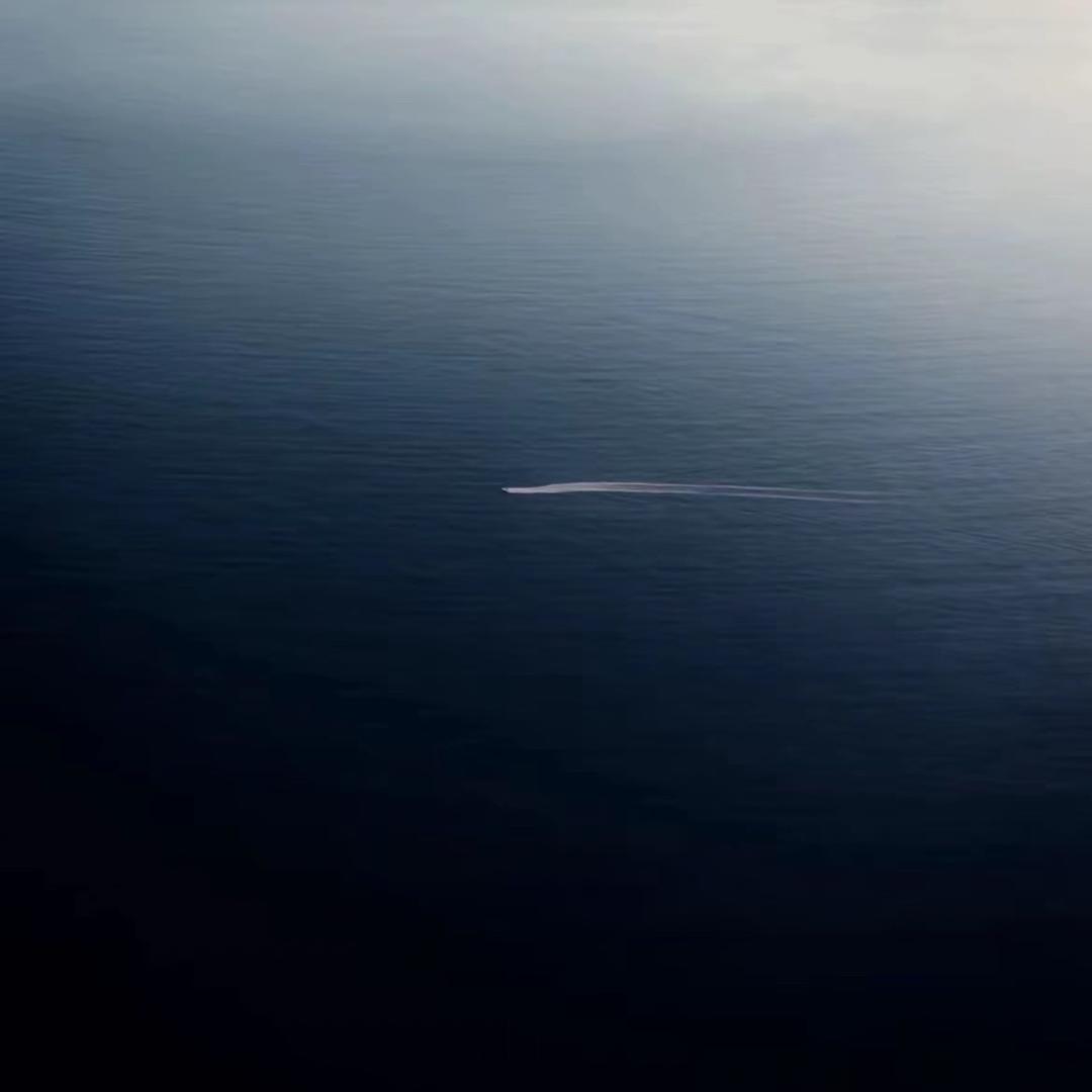 我与数学不共戴天