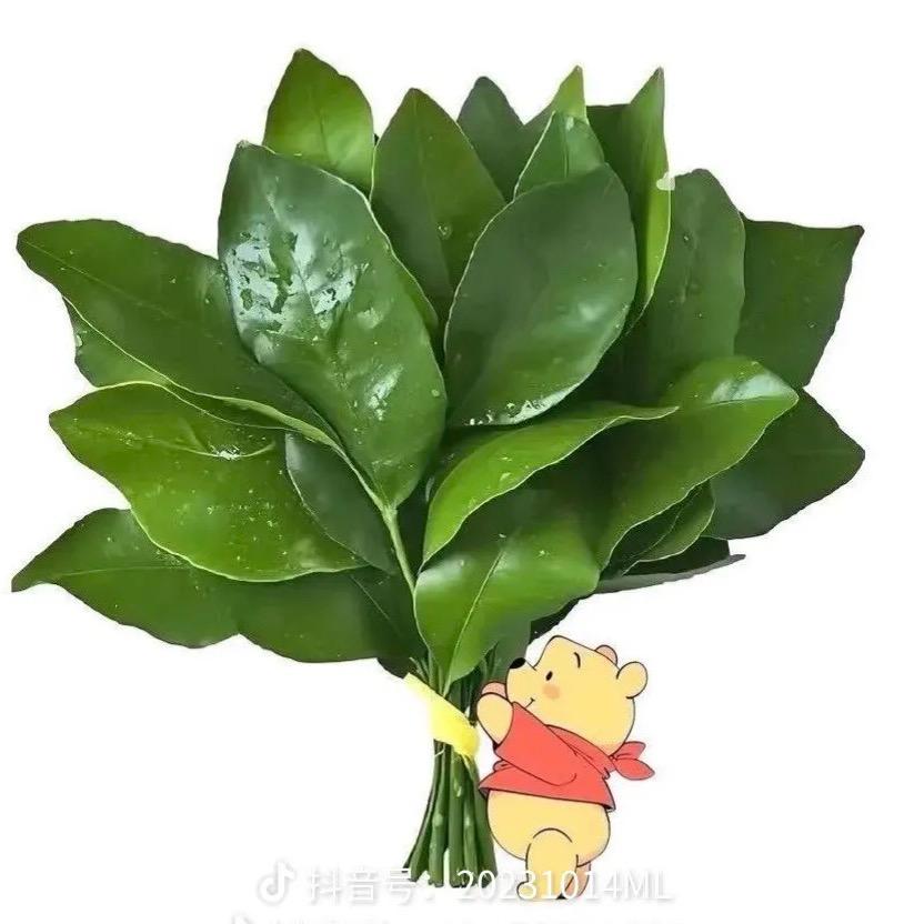 祁祁怪怪🌷
