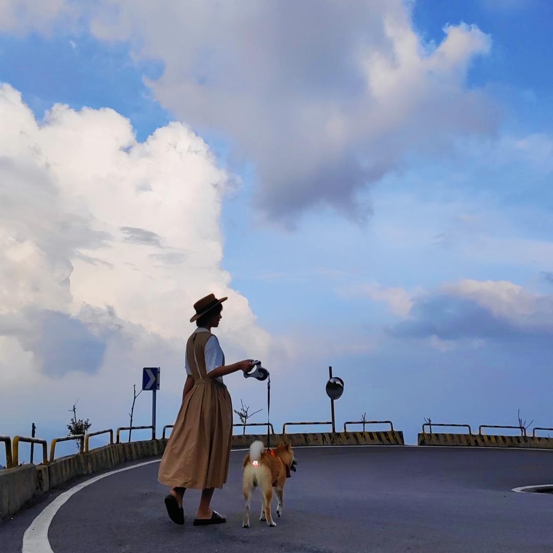 猩狒夫妇的逗比日常